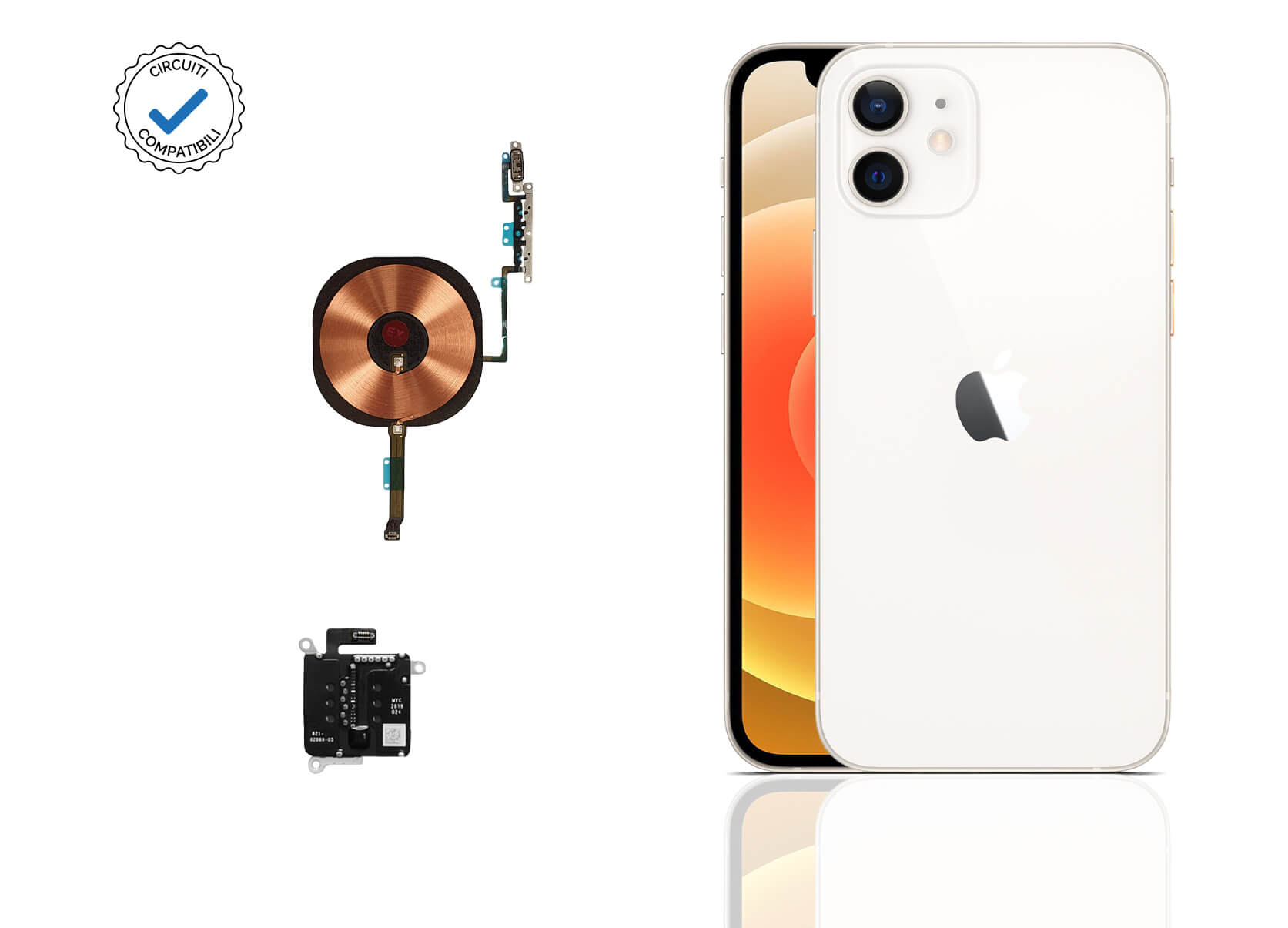 Circuiti iPhone compatibili